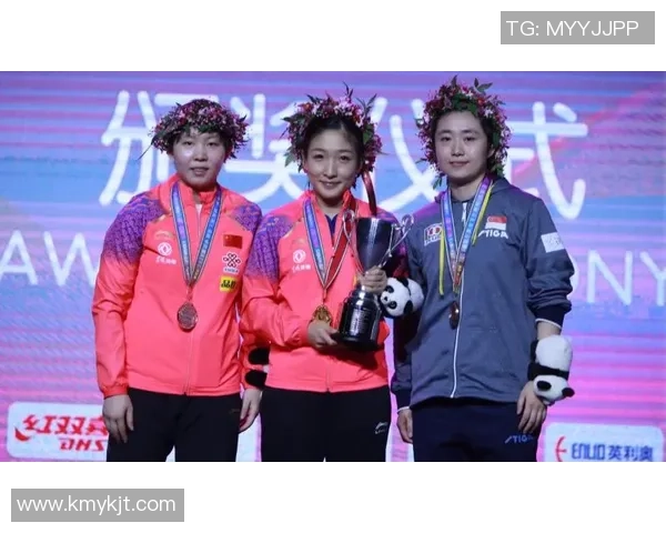 南京乒乓球队在世界杯预选赛中的拼搏历程与荣耀追寻